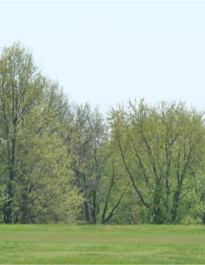 KatyGolfClub AboutGallery4